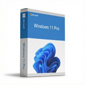 Windows 11 Pro Csdobe
